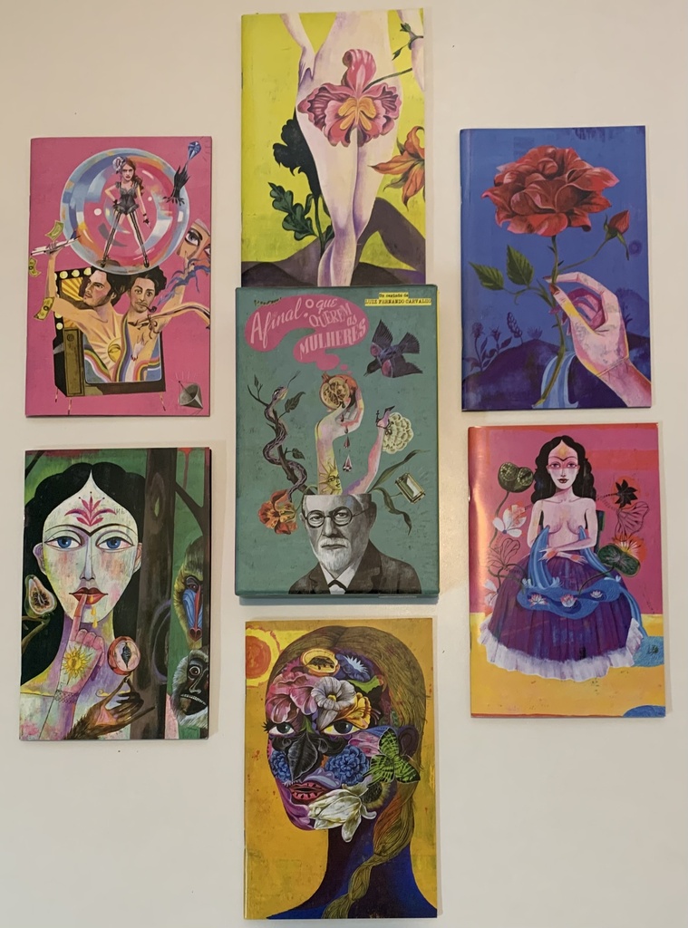 Afinal O Que Querem As Mulheres?- Luiz F. Carvalho(livro usado)