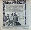Beach Boys, The (LP usado)