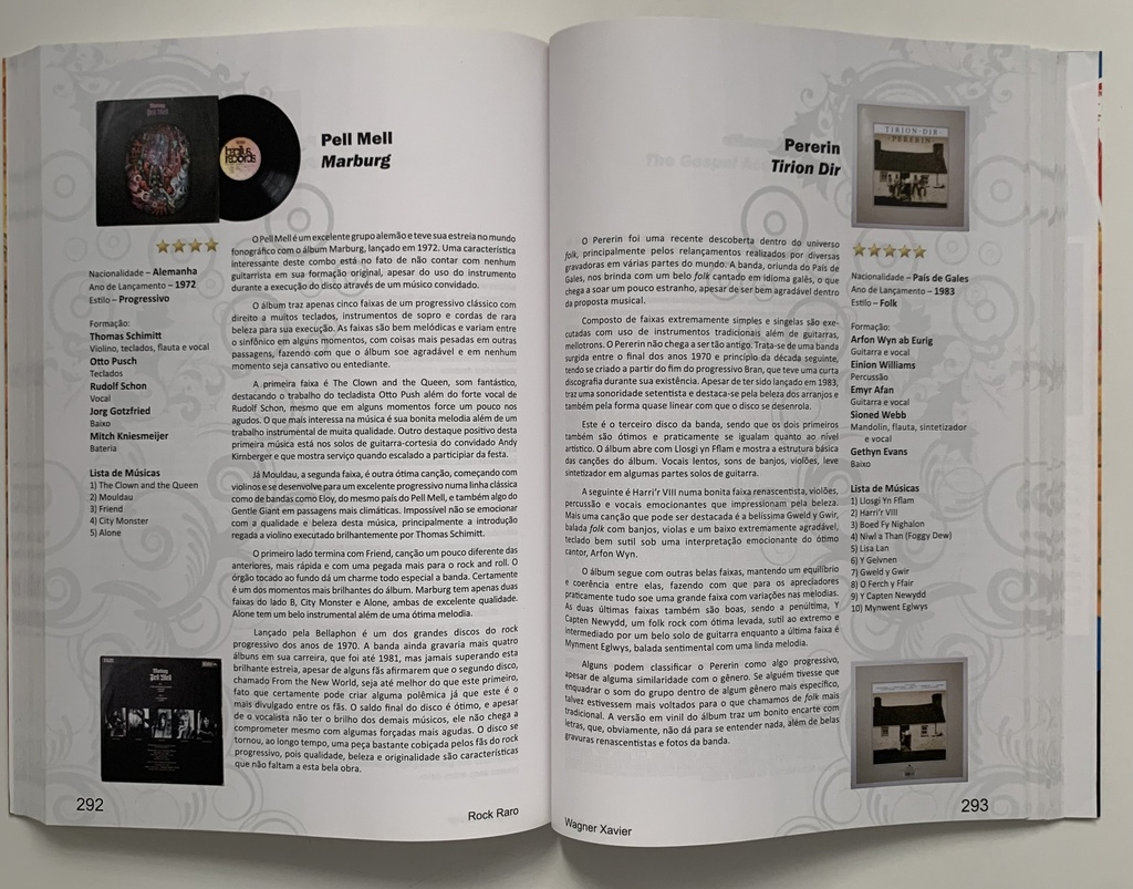 Rock Raro [O Maravilhoso e Desconhecido Mundo do Rock Vol 1 - Wagner Xavier (Livro usado)