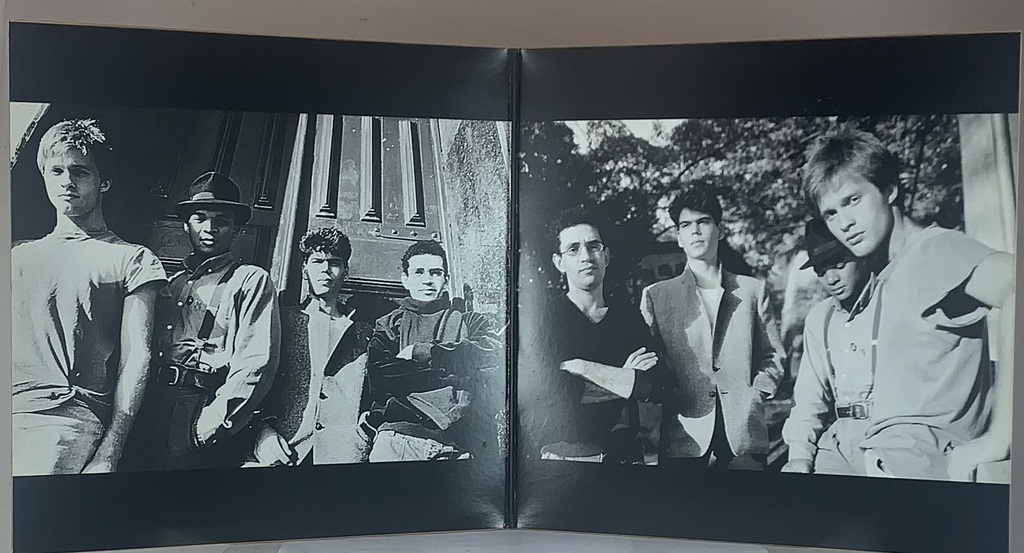 Legião Urbana - Dois [Ed.especial 180g, Capa dupla] (LP usado)