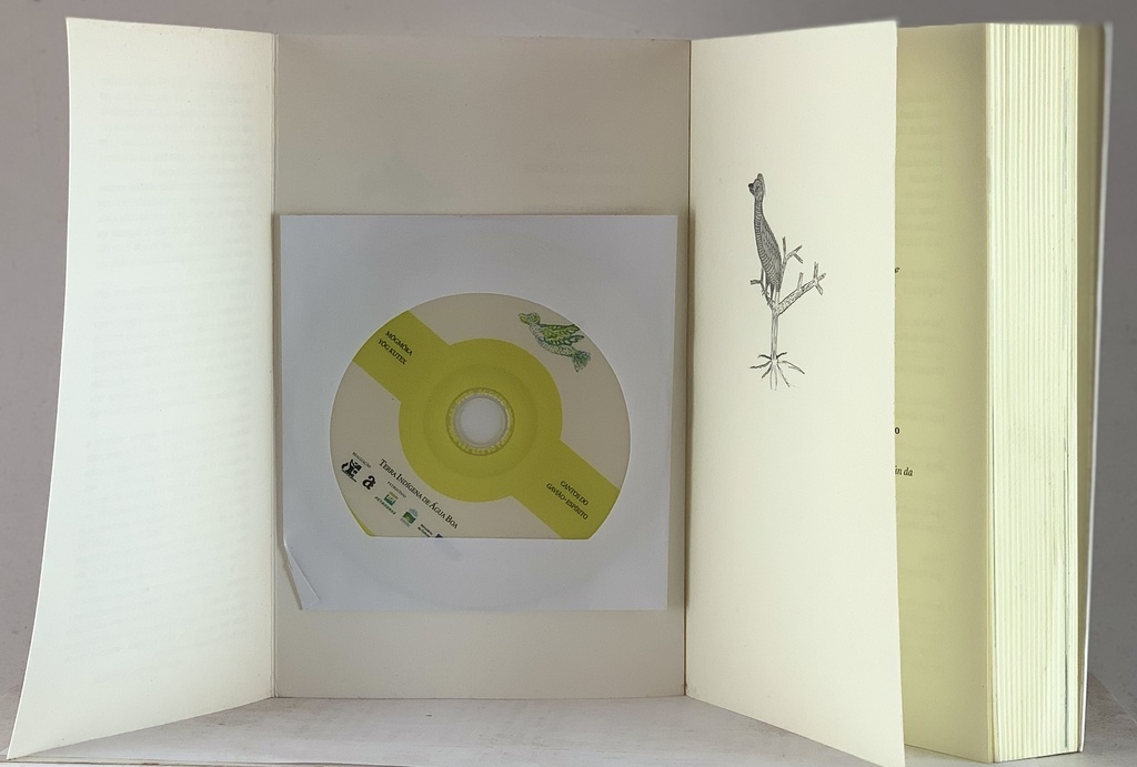 Cantos e Historias do Gavião-espírito e do Hemex (livro +DVD usado)