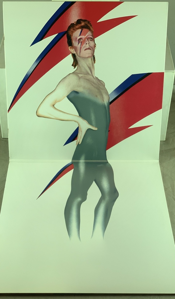 David Bowie - Aladdin Sane (LP usado)