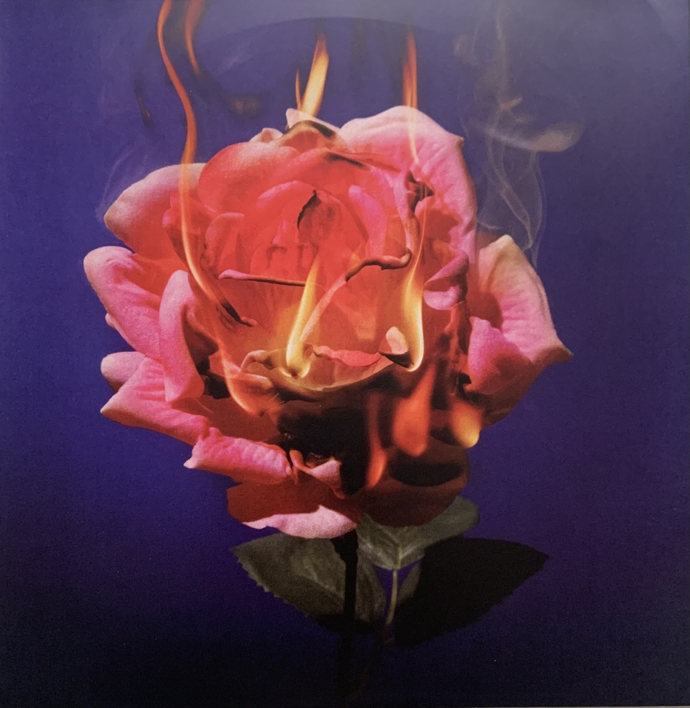 Duda Beat - Te Amo Lá Fora (LP novo) (cópia)