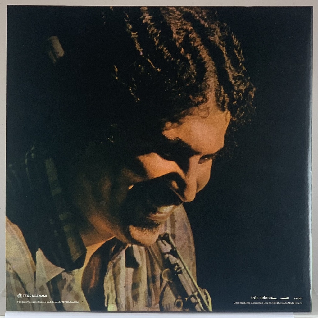 Danilo Caymmi - Cheiro Verde (LP usado)