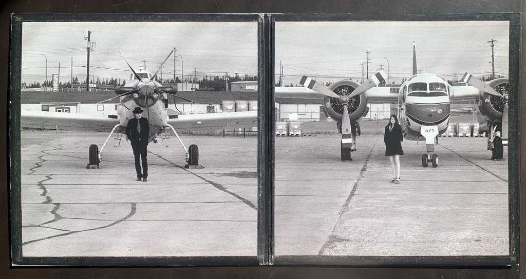 White Stripes, The - Under Great White Northern Lights (2 LP usado)