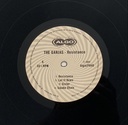 Ganjas,The - Resistance (LP usado)