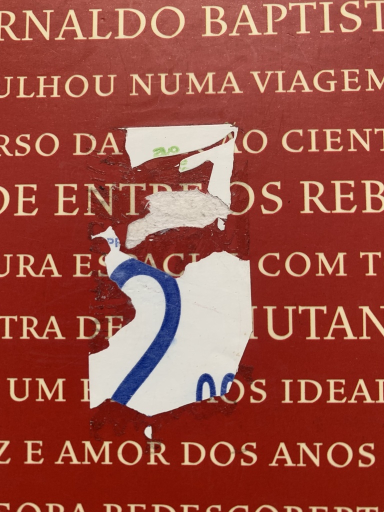 Arnaldo Baptista - Rebelde Entre os Rebeldes (Livro usado)