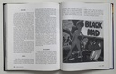 Bailes: Soul, Samba-rock, Hip Hop e Identidade em São Paulo (Livro usado)