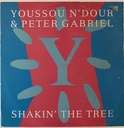 Youssou N'dour & Peter Gabriel - Shakin' the Tree (Vinil mix usado)