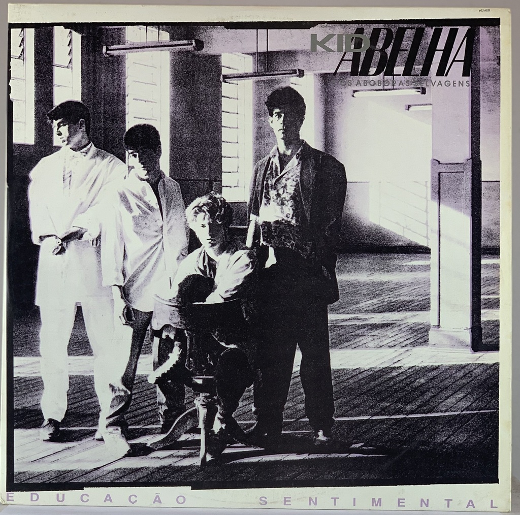 Kid Abelha e os Abóboras Selvagens - Educação Sentimental (LP usado)