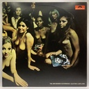 Jimi Hendrix Experience - Electric Ladyland (2LPs usado)