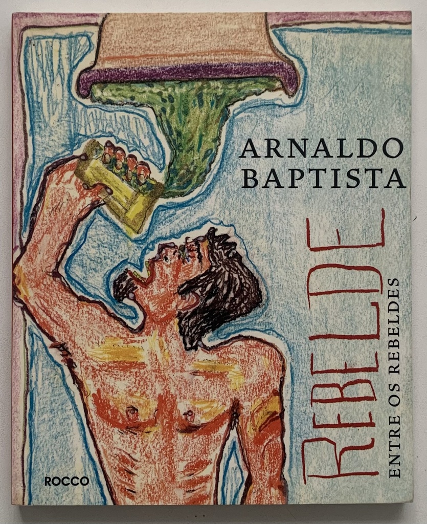 Arnaldo Baptista - Rebelde Entre os Rebeldes (Livro usado)