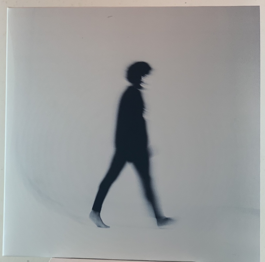 Criolo - Sobre Viver  (LP usado)