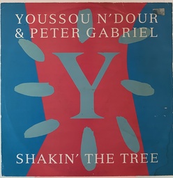 Youssou N'dour & Peter Gabriel - Shakin' the Tree (Vinil mix usado)