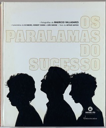 Paralamas do Sucesso - Mauricio Valadares/Arthur Dapieve (Livro s/ uso)